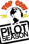 Podcast Title