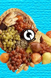Podcast Title